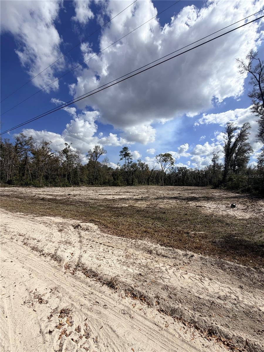 PINEY WOODS OF OLD TOWN - Land