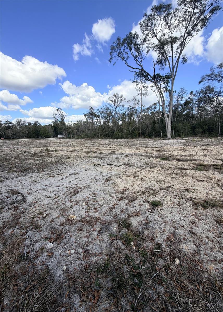 PINEY WOODS OF OLD TOWN - Land