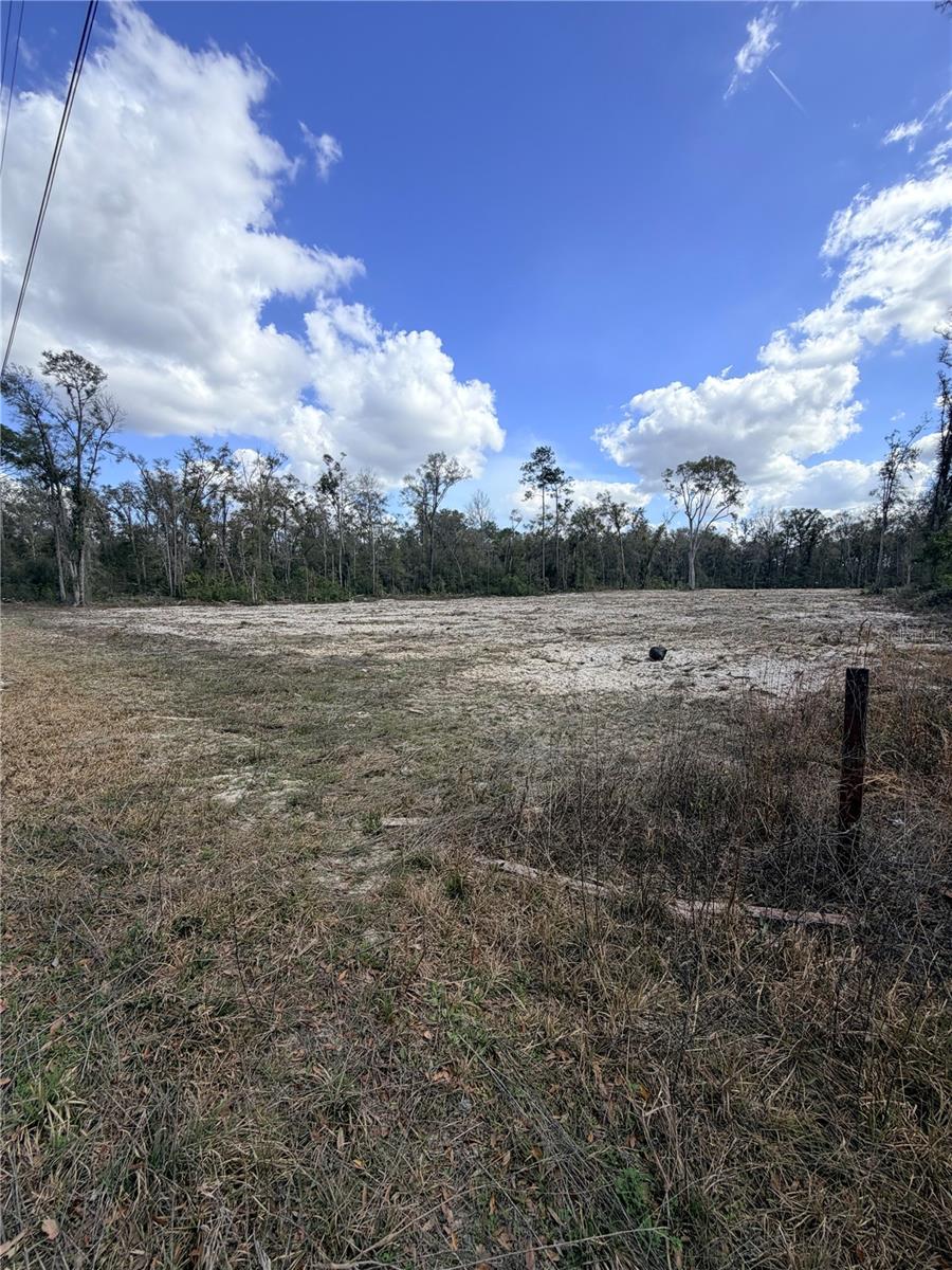 PINEY WOODS OF OLD TOWN - Land