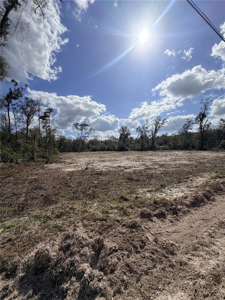 PINEY WOODS OF OLD TOWN - Land