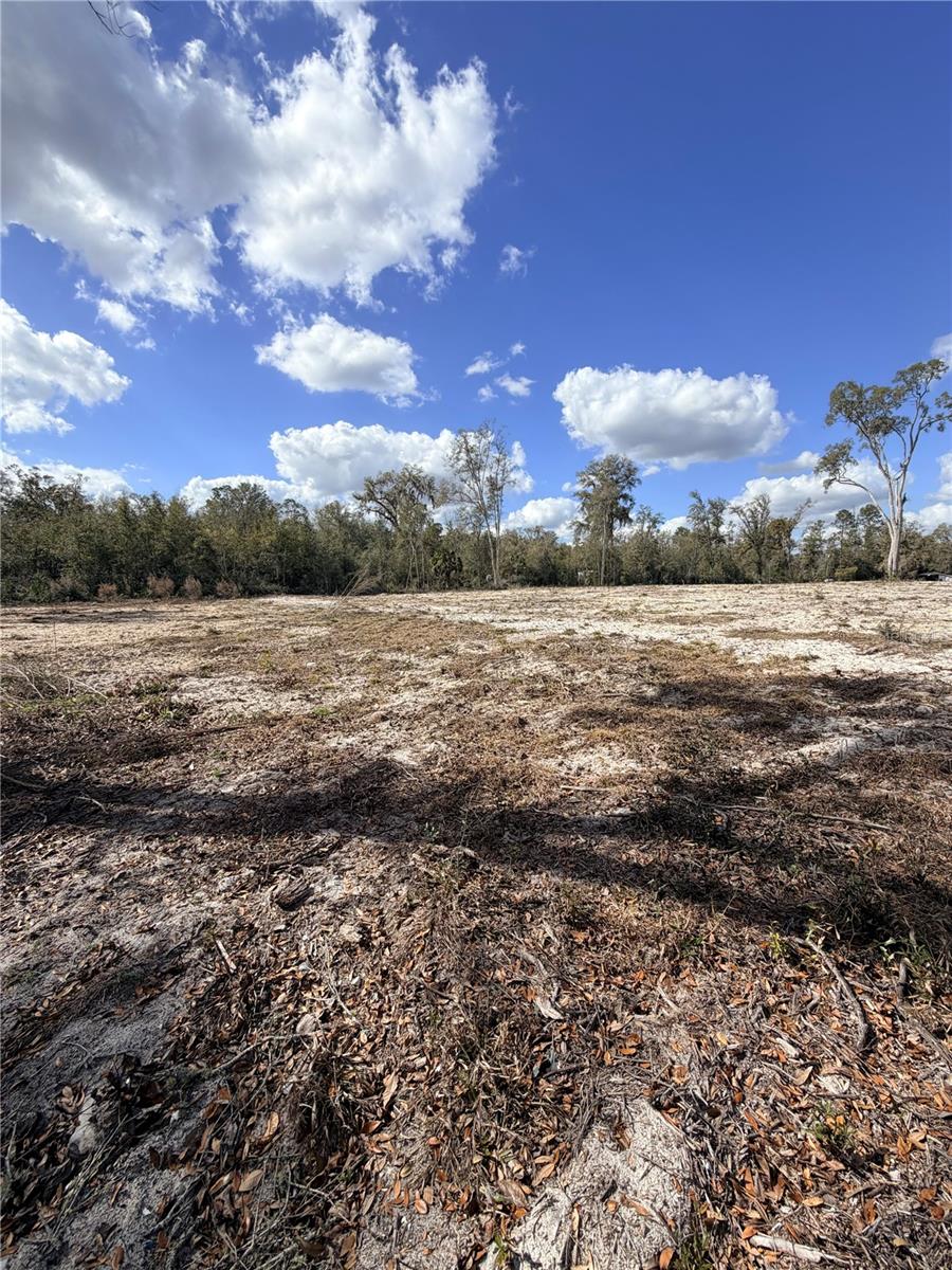 PINEY WOODS OF OLD TOWN - Land