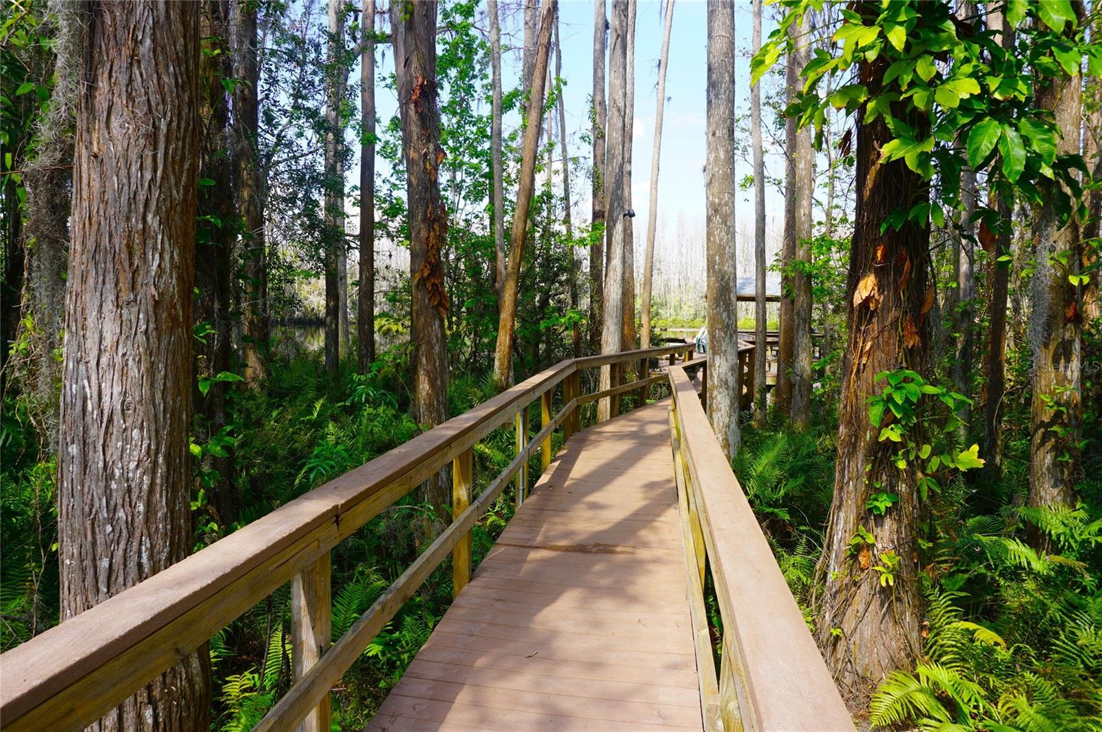 PARADISE LAKES CONDO - Residential