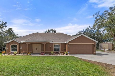 Photo of 15149 Gonzo Road, Weeki Wachee, FL 34614 (MLS # TB8438456)