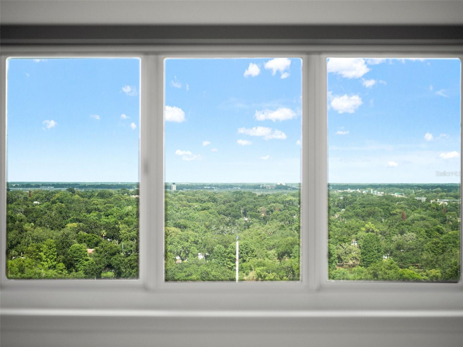 SANCTUARY DOWNTOWN CONDO - Residential
