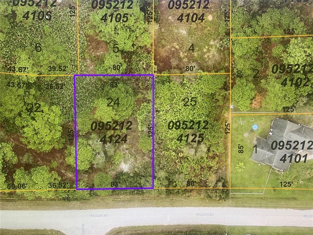 Great location, close to Venice and Englewood beaches with easy access to I-75. In a growing area of North Port still very close to Venice and Englewood. Not located in a flood zone. No HOA, no deed restrictions. Schedule your showing today. Very close to Warm MINERAL SPRINGS. Must See!
