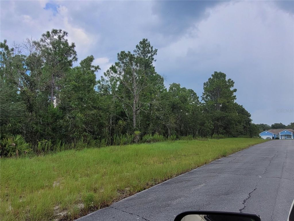 Photo of SW 135 Street, Ocala, FL 34473 (MLS # A4672151)