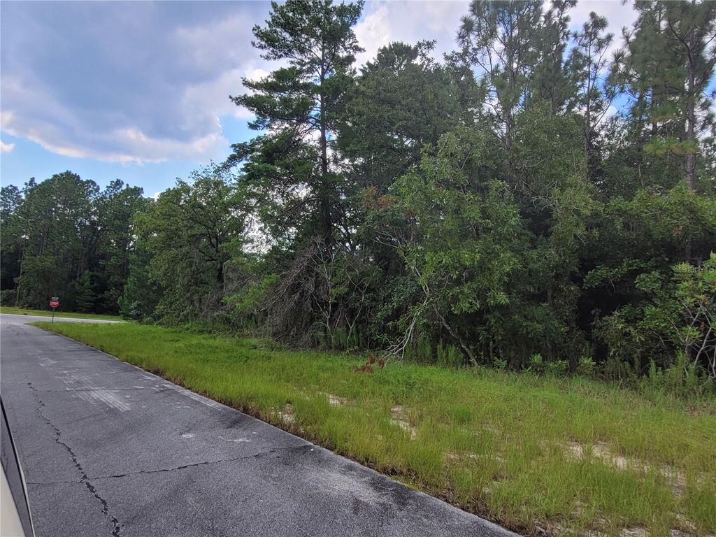 Photo of SW 135 Street, Ocala, FL 34473 (MLS # A4672151)