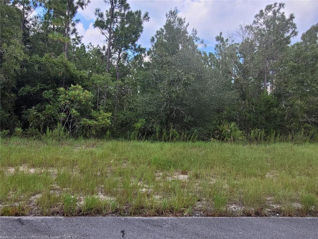 Photo of SW 135 Street, Ocala, FL 34473 (MLS # A4672151)