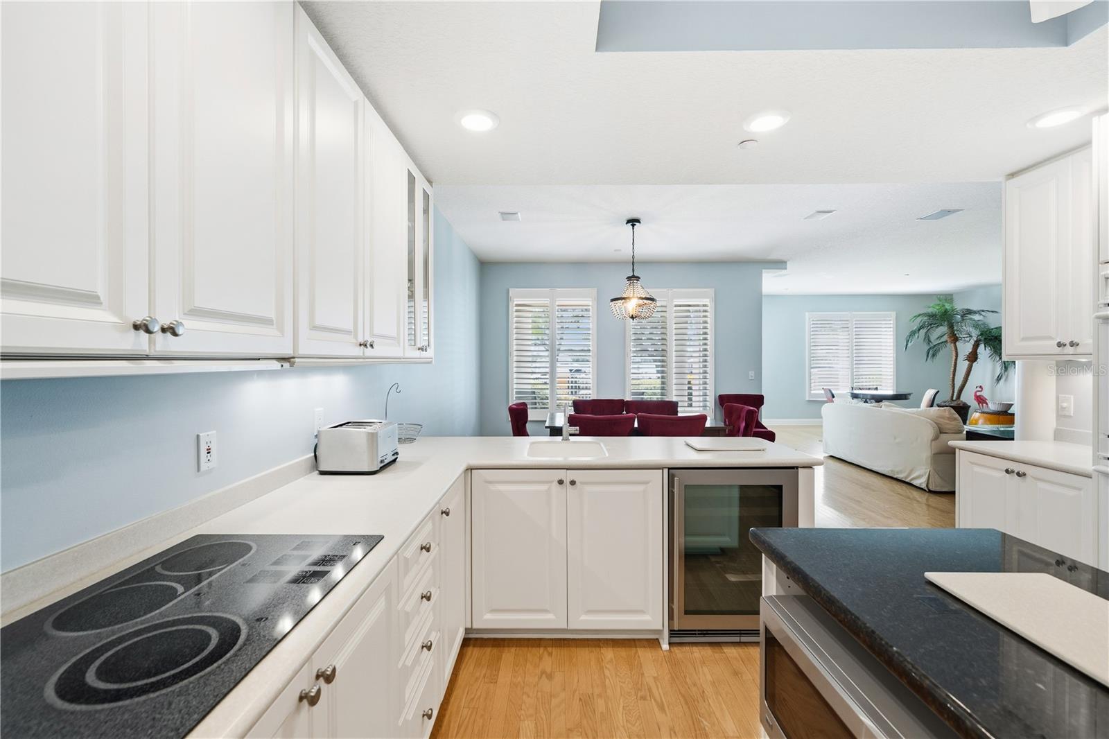 VINOY PLACE CONDO - Residential Lease