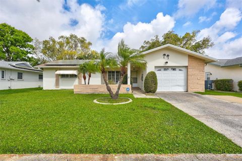 2955 BRIAR CLIFF DRIVE PALM HARBOR FL 34684