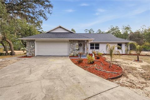 Photo of 5145 SE 189th Terrace, Ocklawaha, FL 32179 (MLS # OM718688)