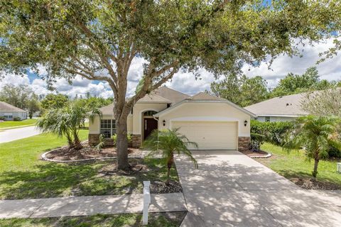 Photo of 13312 Old Florida Circle, Hudson, FL 34669 (MLS # W7886159)