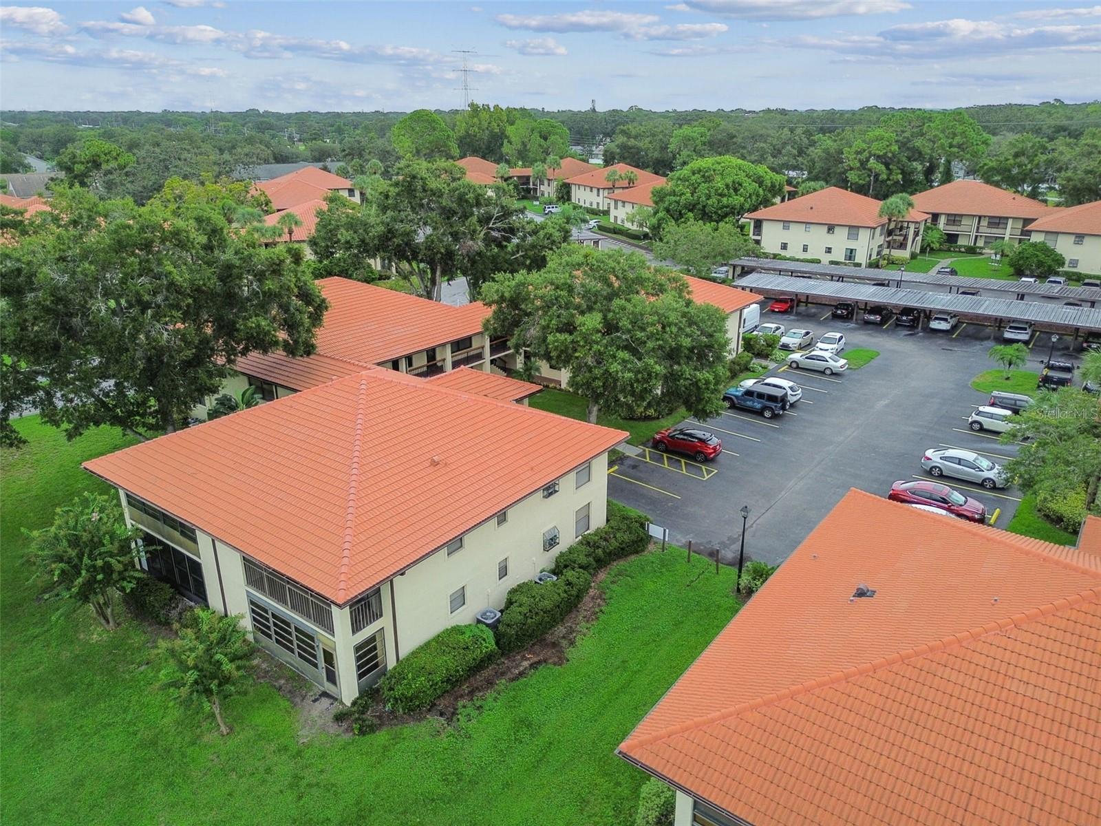 HAMMOCK PINE VILLAGE - Residential Lease