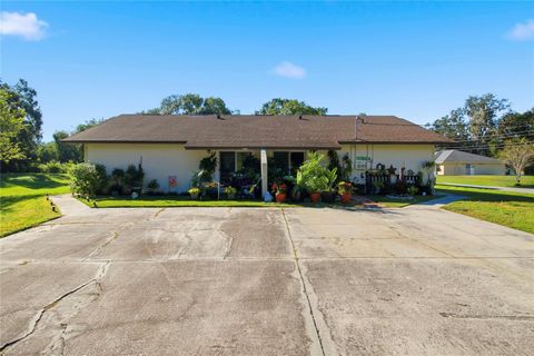 Photo of 4602 Sandy Lane, Lakeland, FL 33813 (MLS # L4958645)