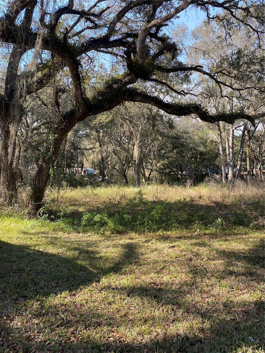 WITHLACOOCHEE HEIGHTS - Land