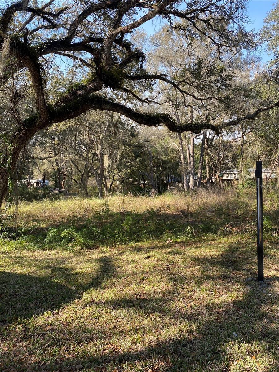 WITHLACOOCHEE HEIGHTS - Land