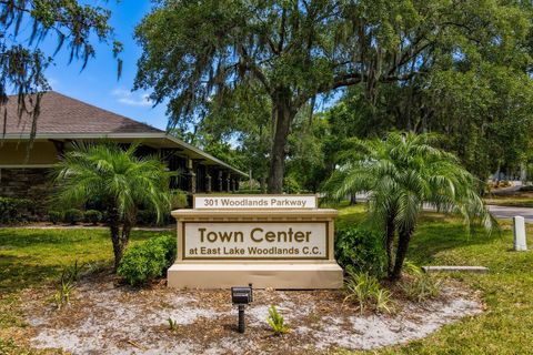 A home in OLDSMAR