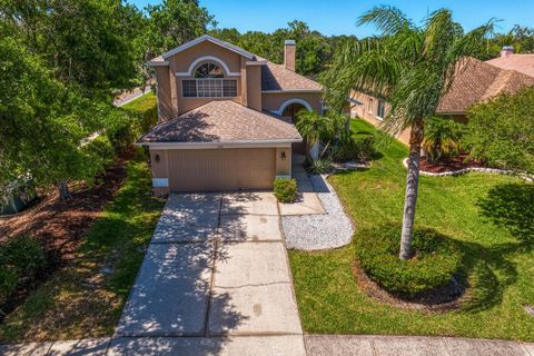 A home in OLDSMAR