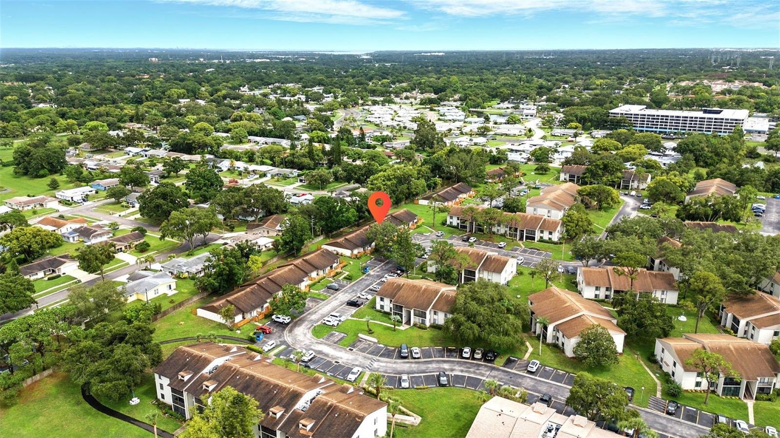 PINE RIDGE AT PALM HARBOR - Residential