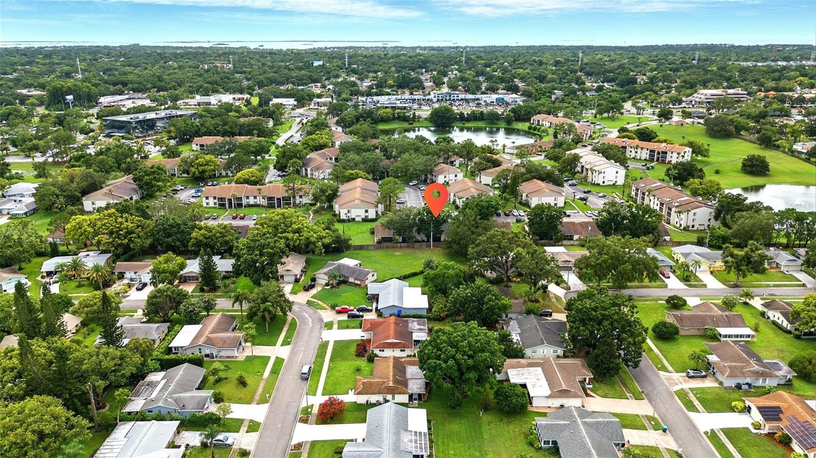 PINE RIDGE AT PALM HARBOR - Residential