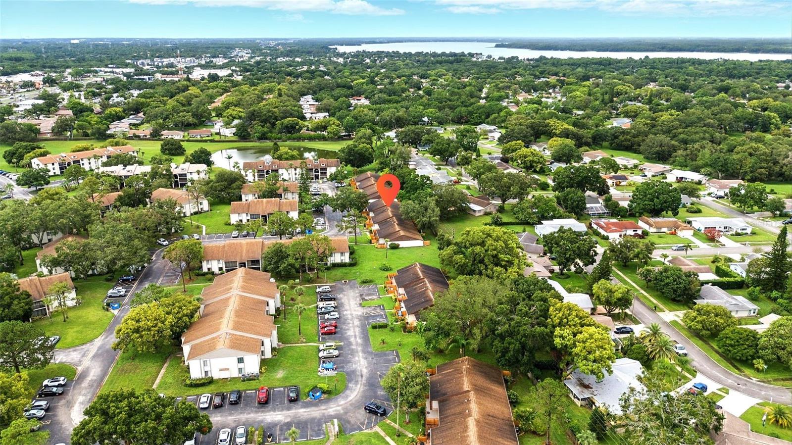 PINE RIDGE AT PALM HARBOR - Residential