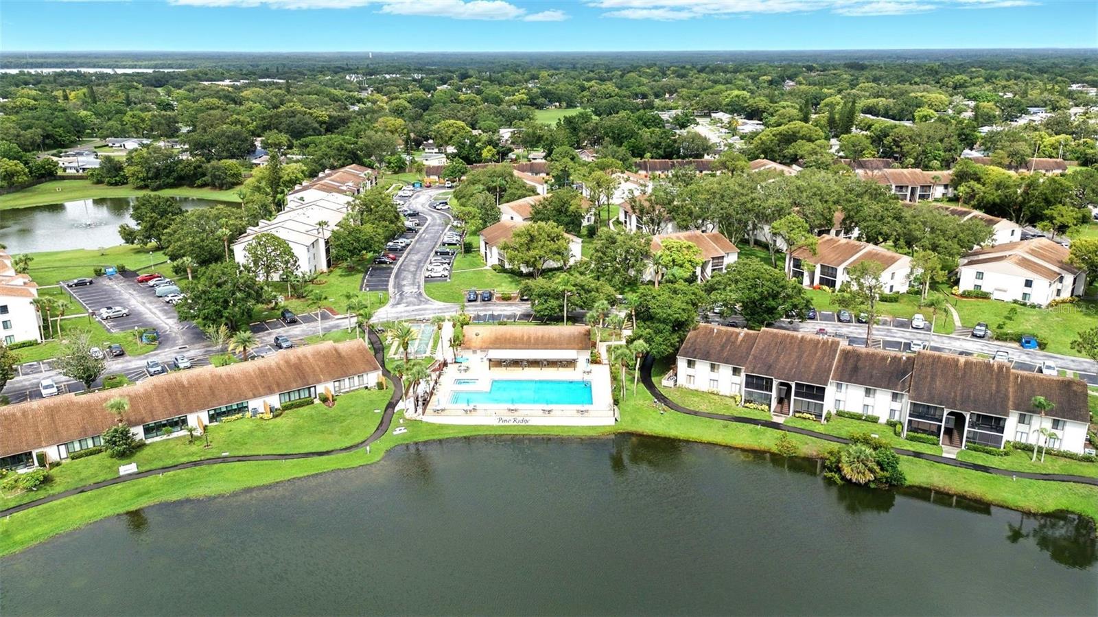 PINE RIDGE AT PALM HARBOR - Residential