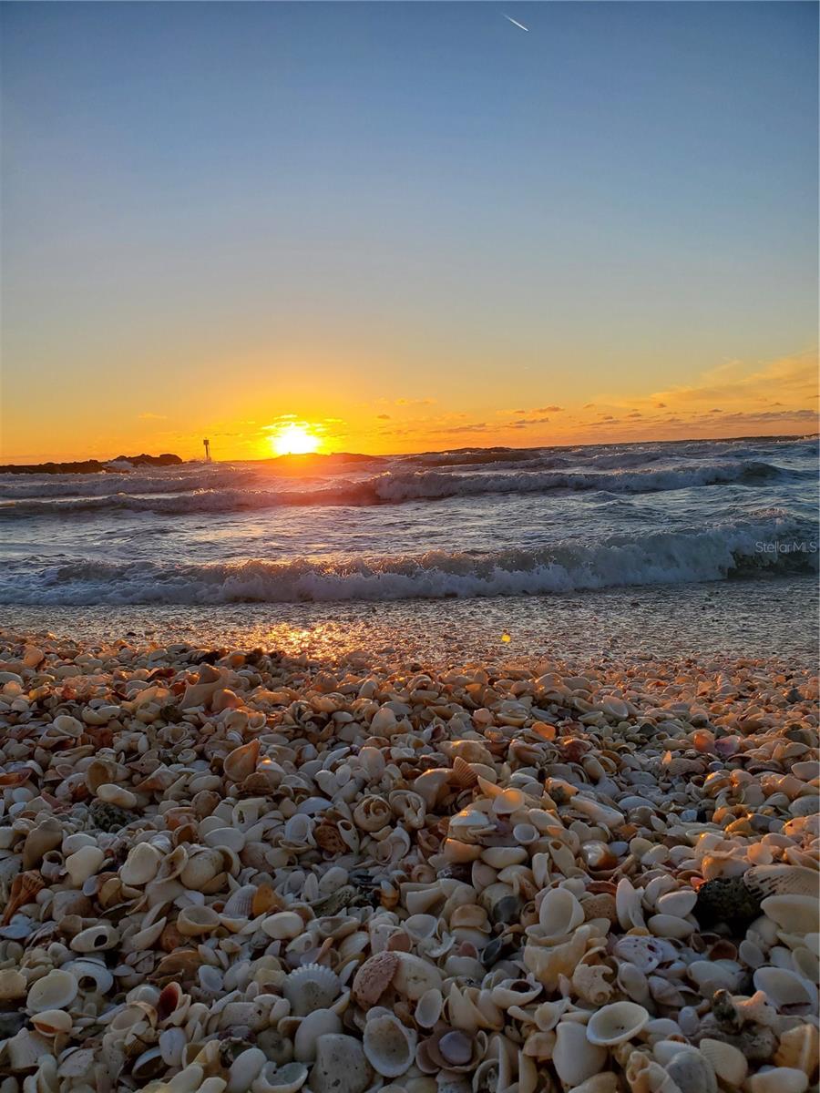 PORT CHARLOTTE SEC 065 - Land