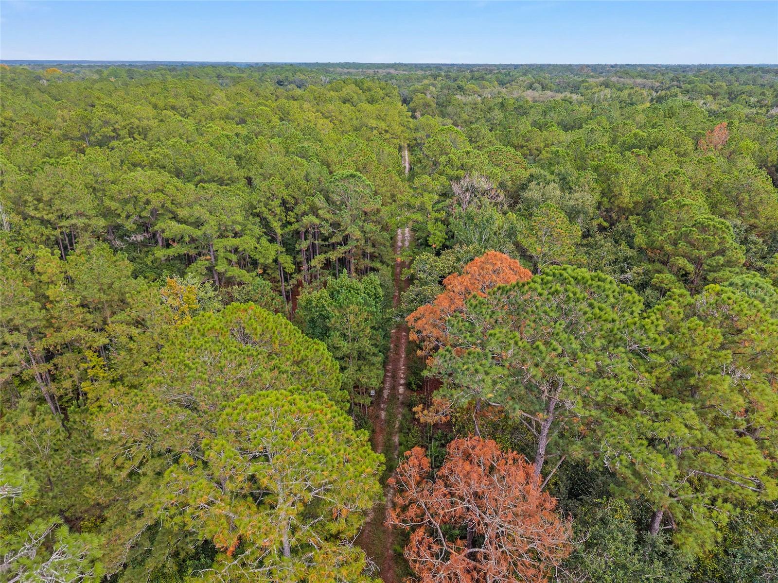EDGE CLIFF LEVY GRANT S1/2 - Residential
