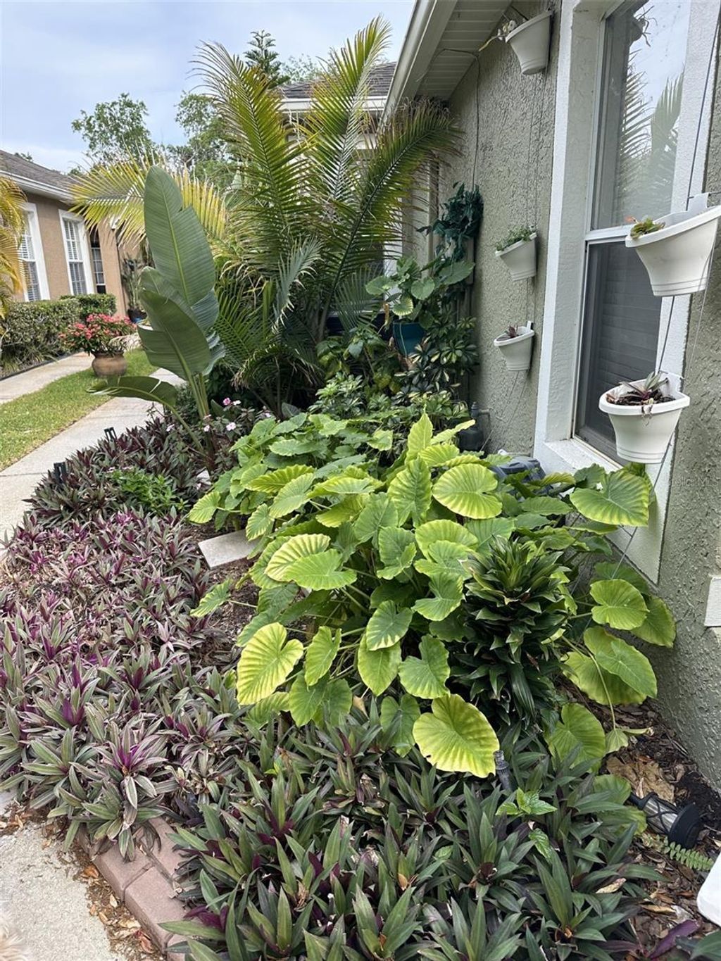 Photo of 19113 Doves Landing Drive, Tampa, FL 33647 (MLS # TB8500048)