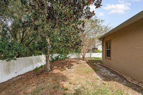 A home in DELAND