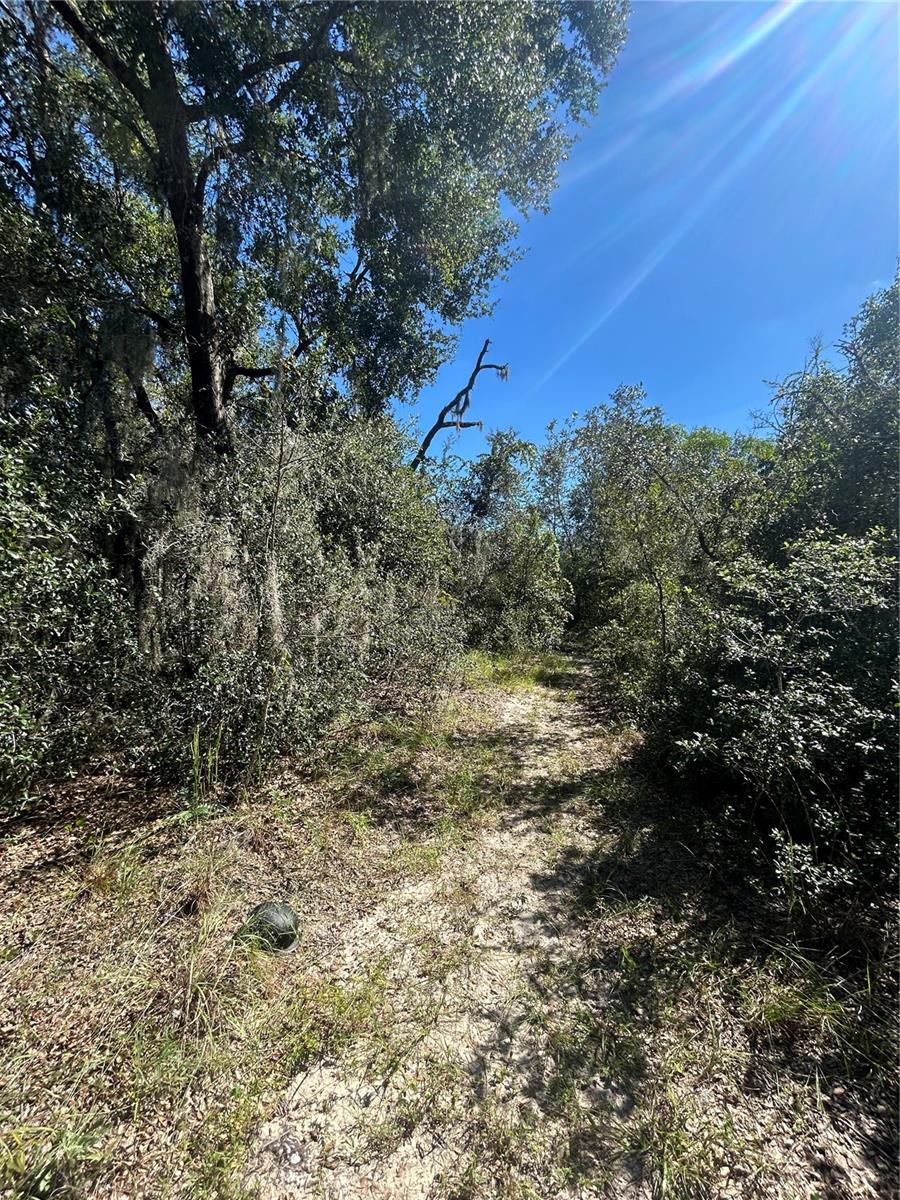 CARLTON VILLAGE - Land