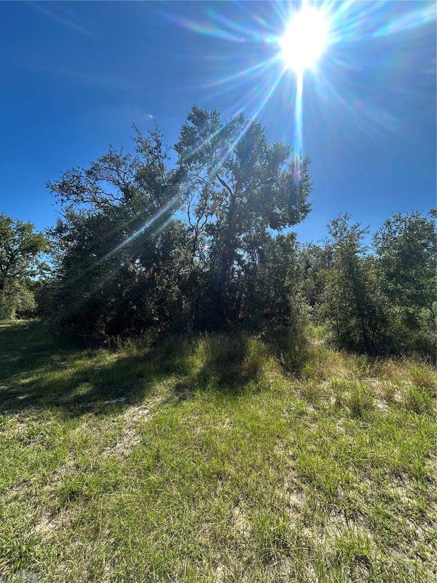 CARLTON VILLAGE - Land