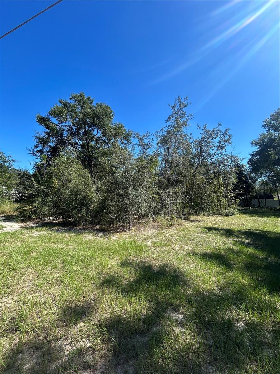 CARLTON VILLAGE - Land