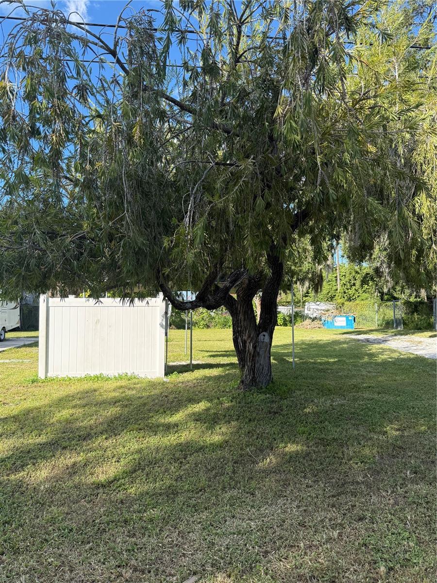 Photo of 6711 Butch Street, Port Richey, FL 34668 (MLS # W7890758)