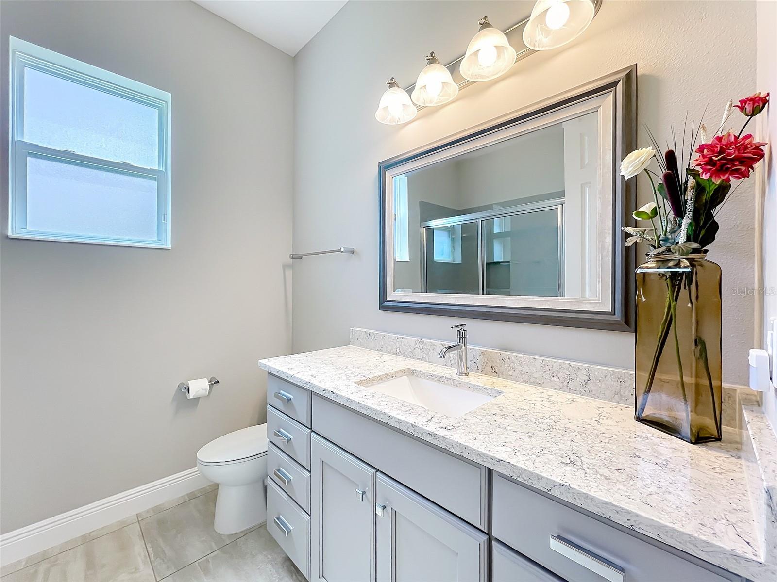 LAKES OF MOUNT DORA - Residential