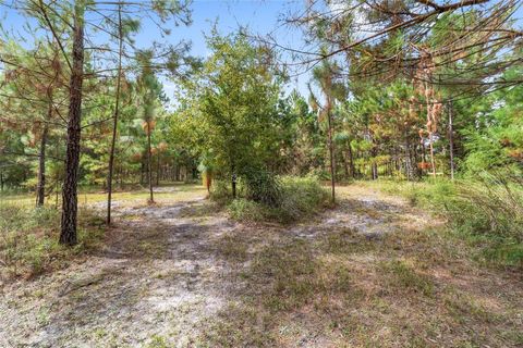 Tiny photo for 15600 NW 185th Street, Williston, FL 32696 (MLS # OM710683)