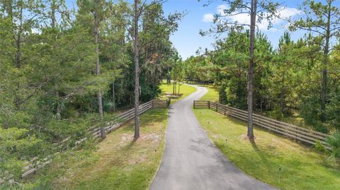 Tiny photo for 15600 NW 185th Street, Williston, FL 32696 (MLS # OM710683)