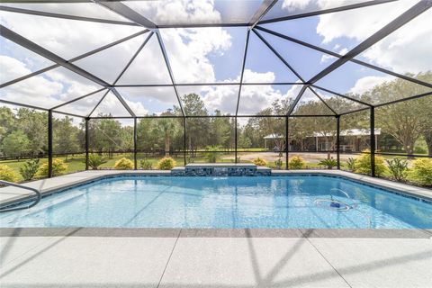 Tiny photo for 15600 NW 185th Street, Williston, FL 32696 (MLS # OM710683)