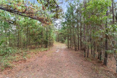Tiny photo for 15600 NW 185th Street, Williston, FL 32696 (MLS # OM710683)