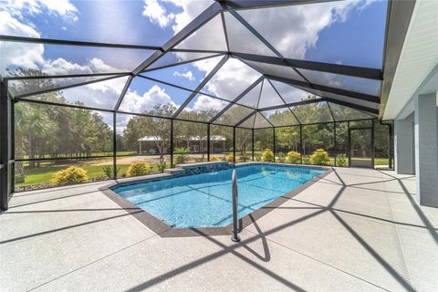 Tiny photo for 15600 NW 185th Street, Williston, FL 32696 (MLS # OM710683)