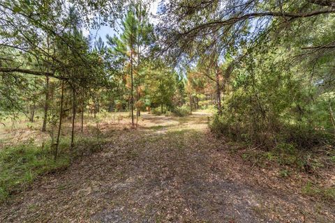 Tiny photo for 15600 NW 185th Street, Williston, FL 32696 (MLS # OM710683)
