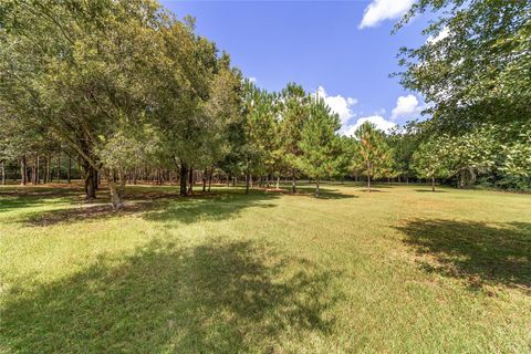 Tiny photo for 15600 NW 185th Street, Williston, FL 32696 (MLS # OM710683)