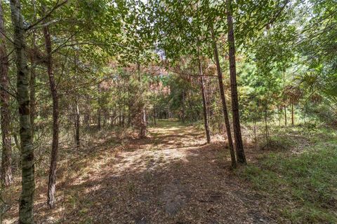 Tiny photo for 15600 NW 185th Street, Williston, FL 32696 (MLS # OM710683)