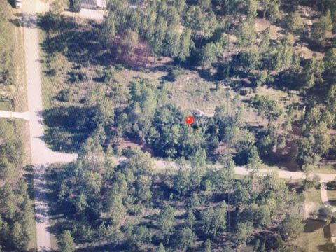 0 SW 209 AVENUE DUNNELLON FL 34431