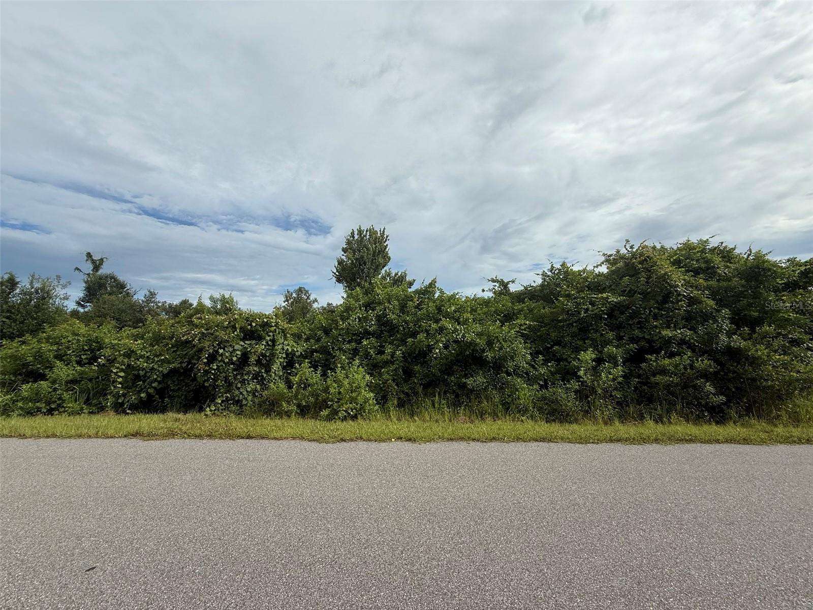 Vacant Lot in Sarasota County – Prime Opportunity! Discover your piece of paradise with this vacant lot in sunny Sarasota County! Located in a peaceful and growing area, this parcel offers the perfect opportunity to build your dream home, invest in future development, or hold as a long-term asset. Enjoy easy access to nearby beaches, shopping, dining, and top-rated schools. The lot is zoned for residential use and offers ample space for a custom build, with room for a pool, garden, or additional structures. Whether you’re a builder, investor, or future homeowner, this lot is a smart buy in a desirable location. No HOA, no deed restrictions – bring your vision to life! Close to: Gulf beaches, Myakka River, I-75, Wellen Park, North Port, and Sarasota. Neighboring lot also available. For directional purposes use 2341 snug a few houses over.