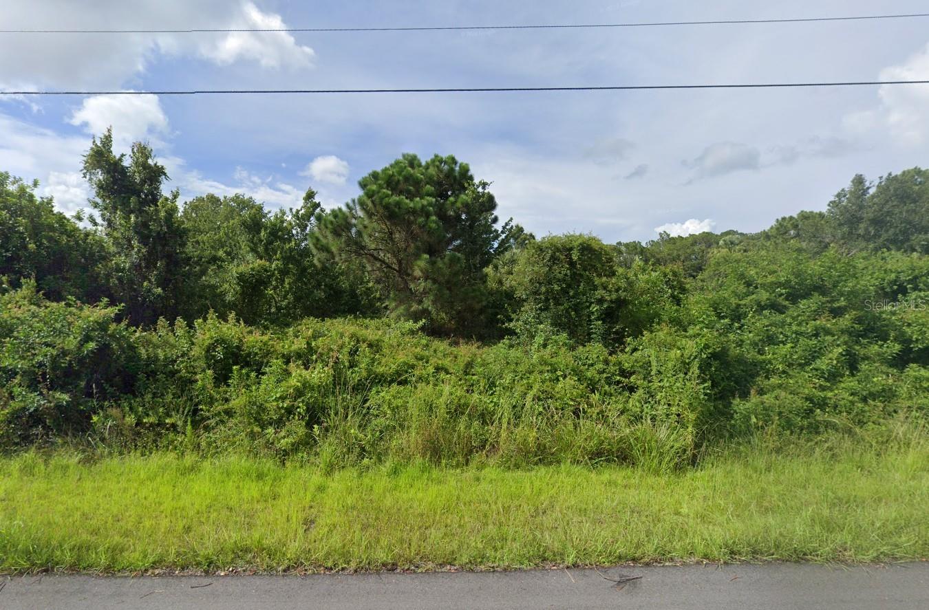 Vacant Lot in Sarasota County – Prime Opportunity! Discover your piece of paradise with this vacant lot in sunny Sarasota County! Located in a peaceful and growing area, this parcel offers the perfect opportunity to build your dream home, invest in future development, or hold as a long-term asset. Enjoy easy access to nearby beaches, shopping, dining, and top-rated schools. The lot is zoned for residential use and offers ample space for a custom build, with room for a pool, garden, or additional structures. Whether you’re a builder, investor, or future homeowner, this lot is a smart buy in a desirable location. No HOA, no deed restrictions – bring your vision to life! Close to: Gulf beaches, Myakka River, I-75, Wellen Park, North Port, and Sarasota. Neighboring lot also available. For directional purposes use 2341 snug a few houses over.