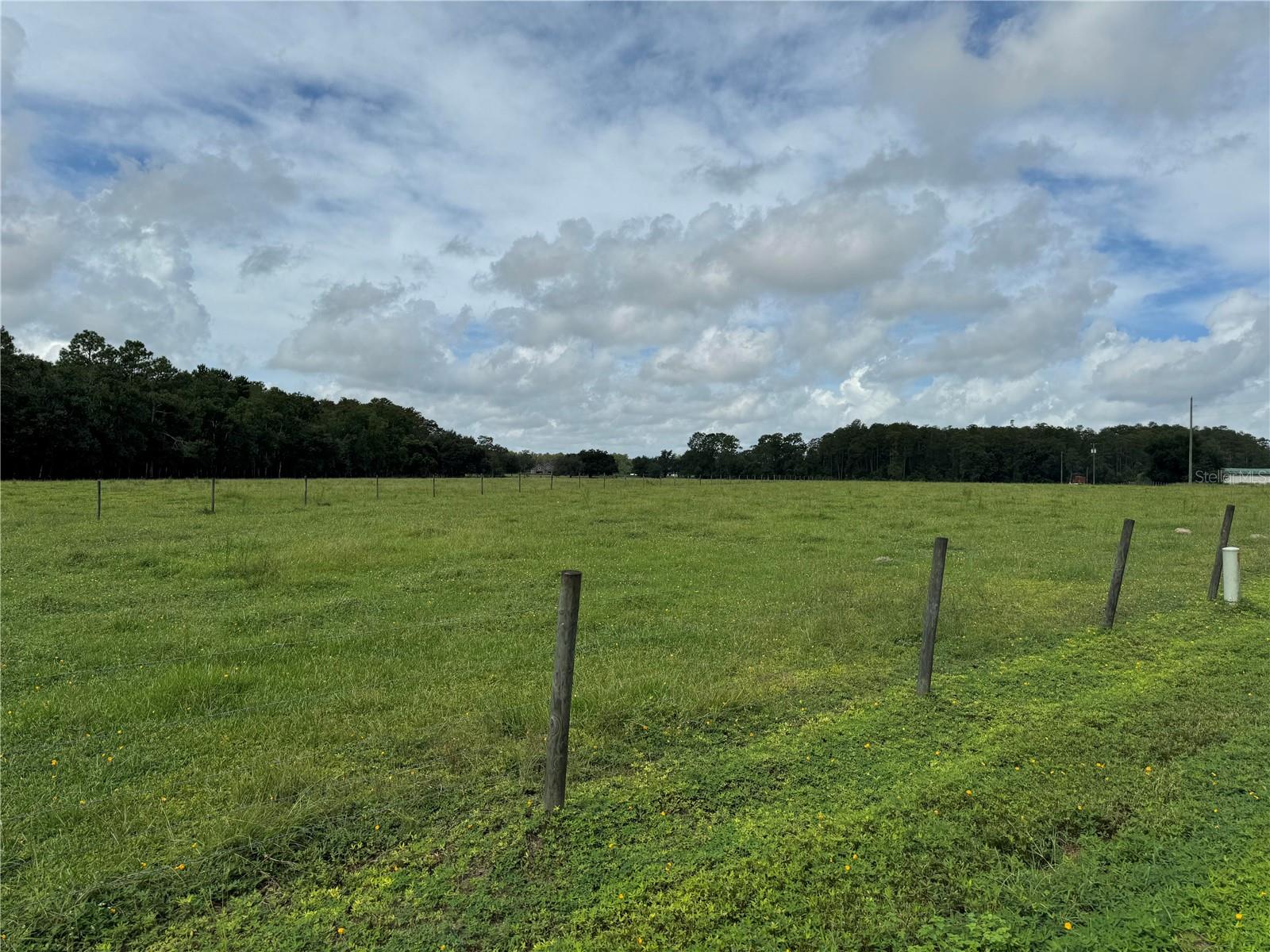 GREEN SWAMP ROAD