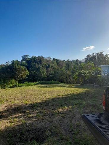 Nestled on a quiet dead end street in Sector La Marina, this serene mountain-view lot is located at Carr?916, Km.Hm?3.7 in Barrio Cerro Gordo, San?Lorenzo. Only about 8.7 KM away from the Expreso Chayanne, this prime piece of land comes with a professional survey plat. The final photo showcases the expansive front view of the property—ideal for building your private retreat.