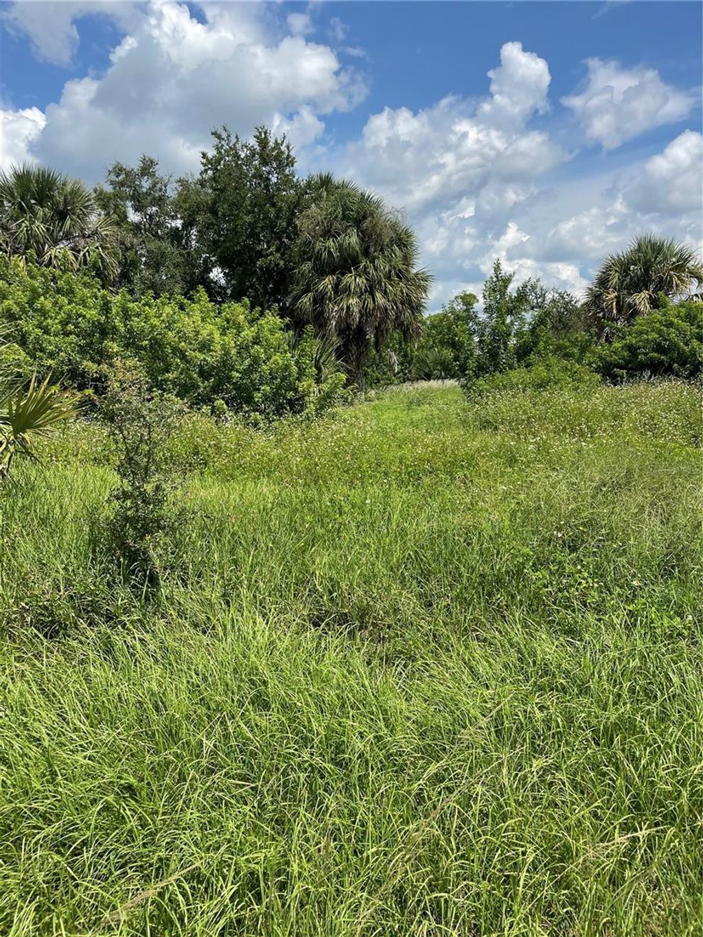 Photo of 18286 Van Nuys Circle, Port Charlotte, FL 33948 (MLS # C7513385)