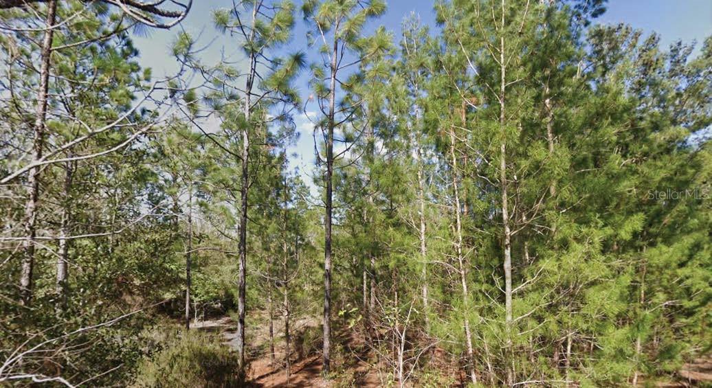 Situated in the peaceful Interlachen Villas , this pair of adjacent residential lots offers a rare opportunity to build in a quiet, tree-lined neighborhood with a sense of established community charm. The seller has additional parcels in both Putnam and Washington Counties and is open to discounted pricing for multiple lot purchases. All information is deemed reliable but should be independently verified.